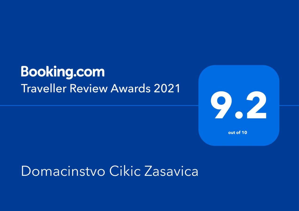 Domacinstvo Cikic Zasavicaゲストハウス エクステリア 写真