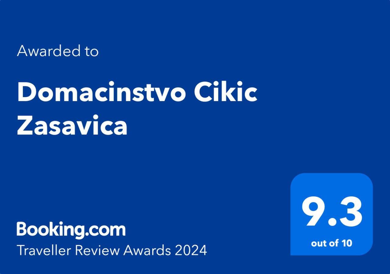Domacinstvo Cikic Zasavicaゲストハウス エクステリア 写真